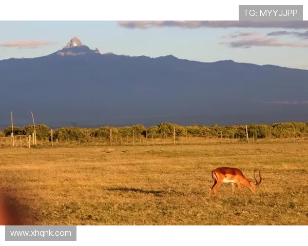 赫罗纳邀特狮亲友观战26日赛